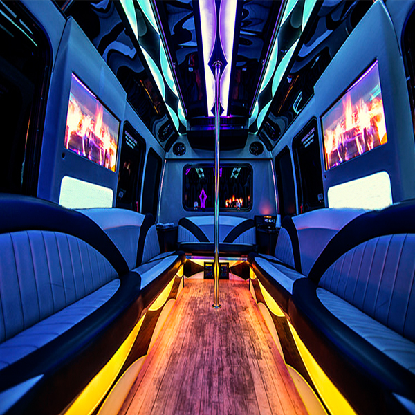 Unique party bus